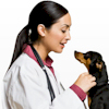 Pet Clinics in the U.S.